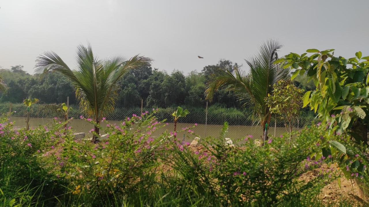 Homestay Dat Viet Cat Tien Zewnętrze zdjęcie